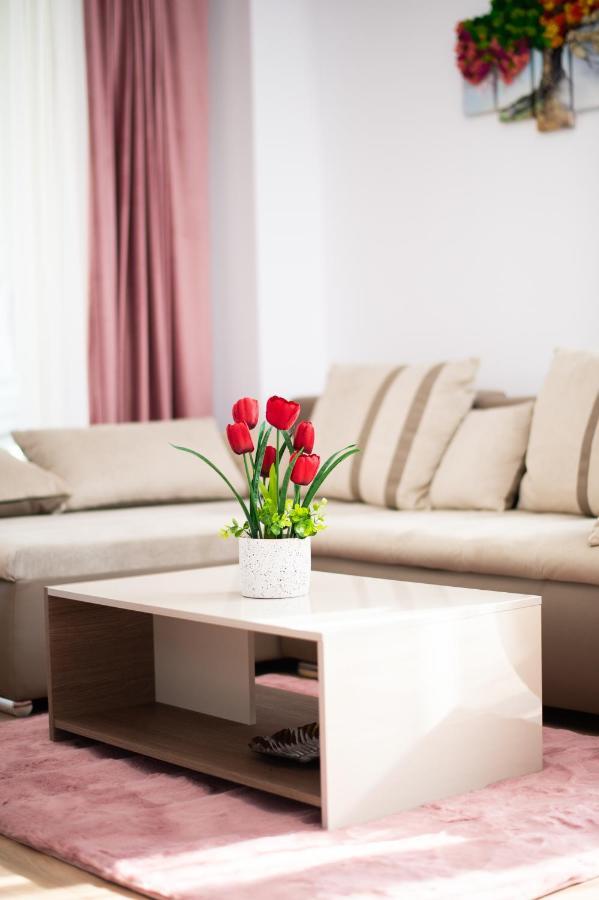 Claseb Apartment 티미쇼아라 외부 사진